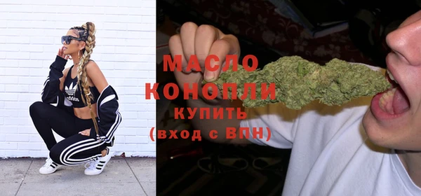 эйфоретик Няндома